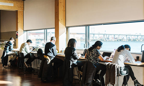 Library at The Dock Image
